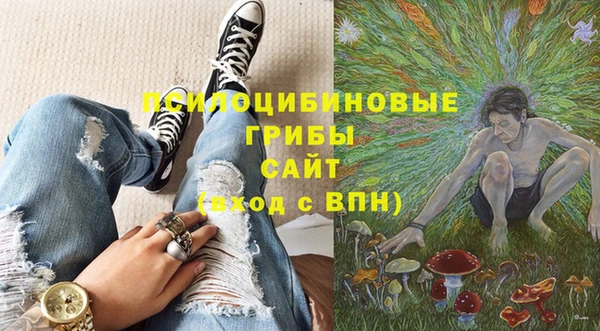 2c-b Алзамай