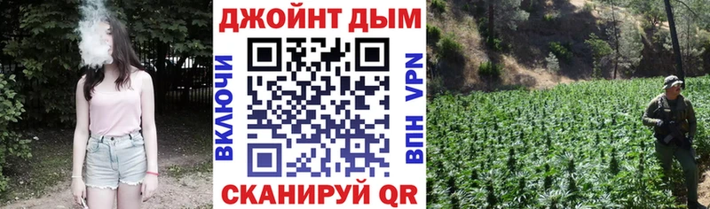 Канабис конопля Калининск